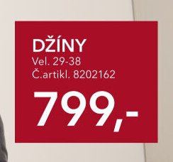 DŽÍNY