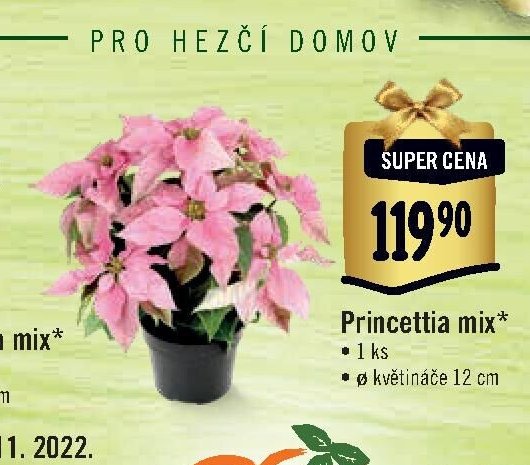Princettia mix
