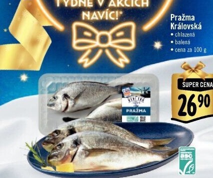 Pražma královská Albert