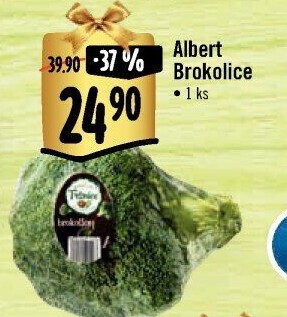 Brokolice Albert