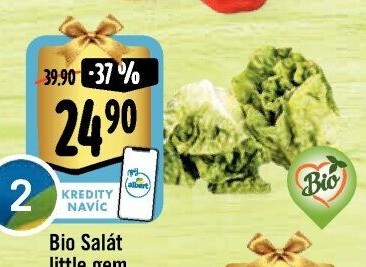 Salát little gem bio