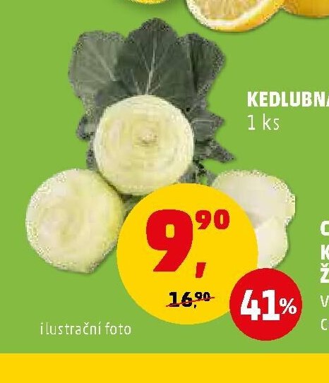 KEDLUBA