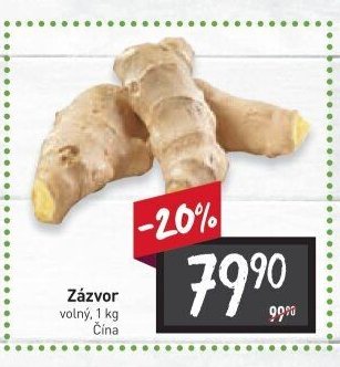 Zázvor