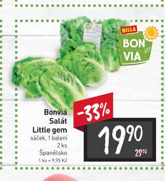 Bonvia Salát Little gem