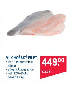 VLK MOŘSKÝ FILET