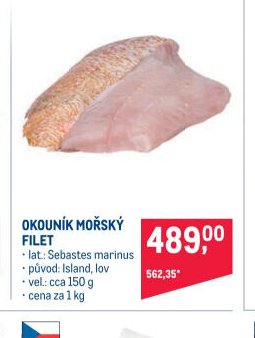 OKOUNÍK MOŘSKÝ FILET