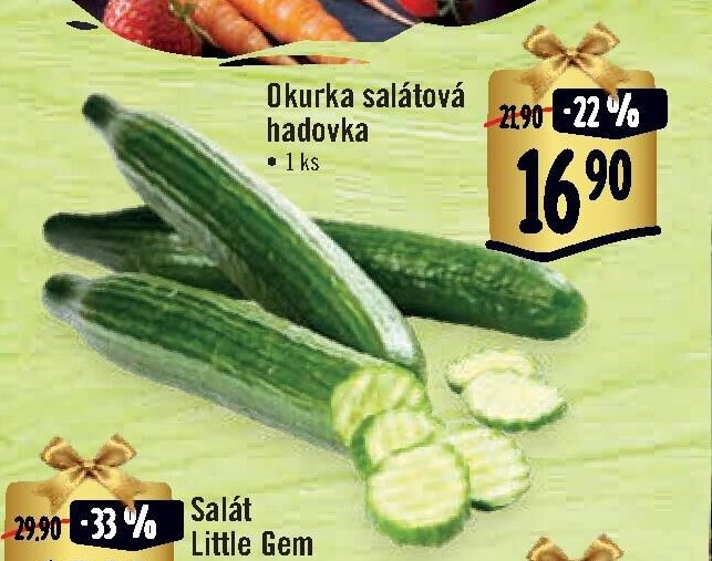 Okurka salátová hadovka