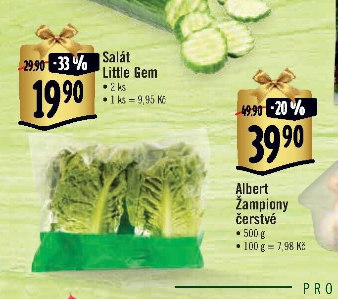 Salát Little Gem
