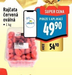 Rajčata červená oválná