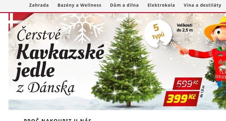Kavkazské jedle z Dánska - Mountfield akcniletaky.com