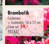Brambořík - UNI HOBBY akcniletaky.com