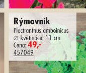 Rýmovník - UNI HOBBY akcniletaky.com