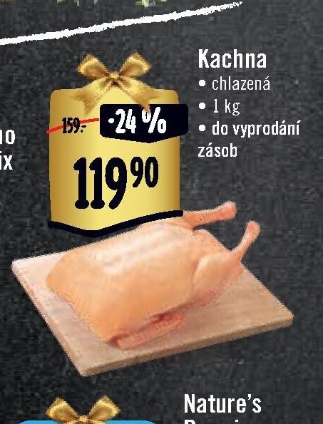 Kachna