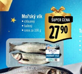 Mořský vlk