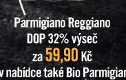 Parmigiano Reggiano DOP 32% výseč