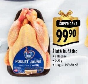 Žluté kuřátko