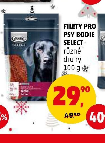 FILETY PRO PSY BODIE SELECT