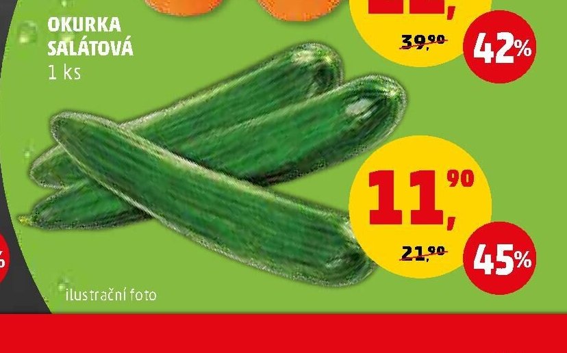 OKURKA SALÁTOVÁ 1 ks