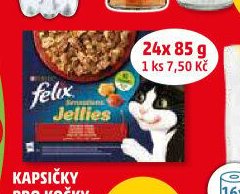 Kapsičky pro kočky Felix 24x 85 g