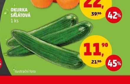Okurka salátová