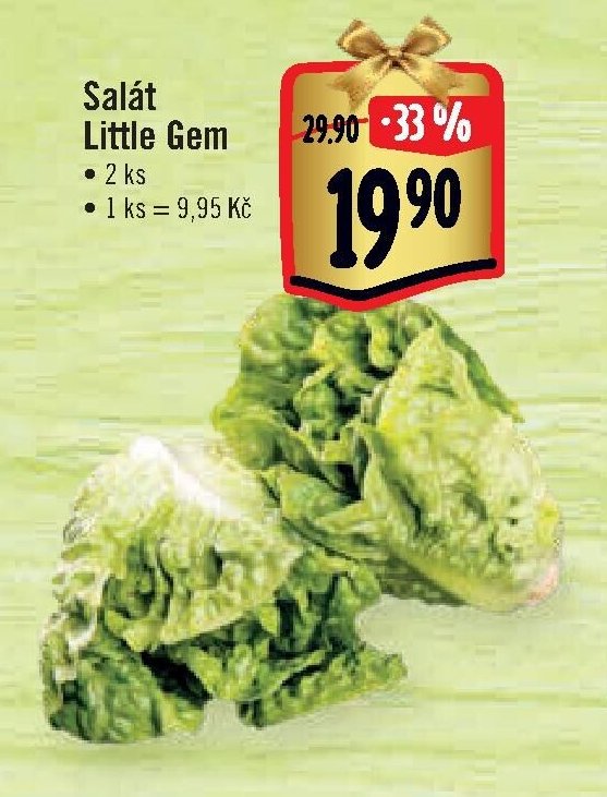 Salát Little Gem