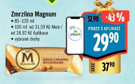 Zmrzlina Magnum