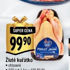 Žluté kuřátko