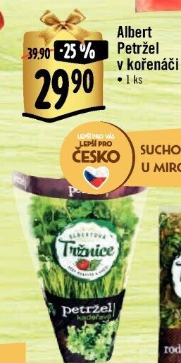 Bylinky v květináči Albert