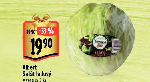 Salát ledový Albert