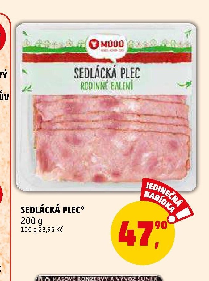 Sedlácká plec