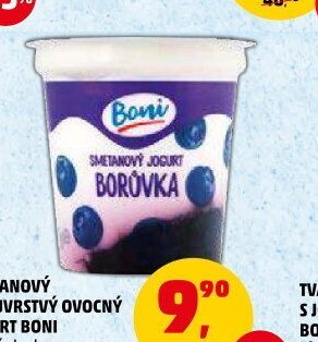 SMETANOVÝ DVOUVRSTVÝ OVOCNÝ JOGURT BONI různé druhy