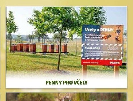 Penny pro včely