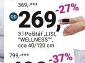 Polštář LISI, WELLNESS - Möbelix akcniletaky.com