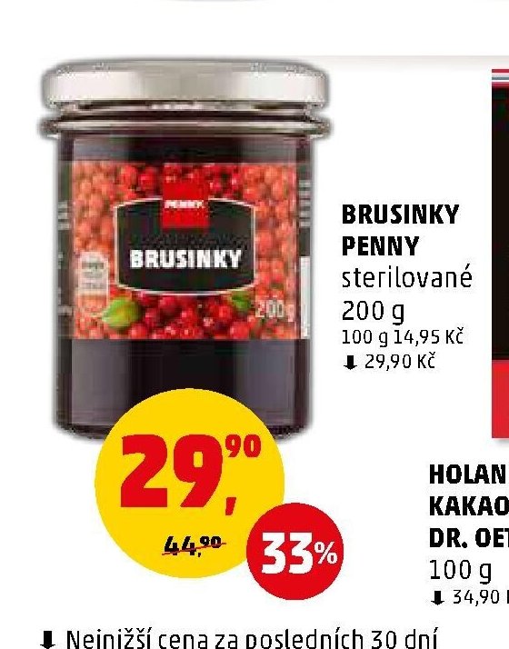 BRUSINKY PENNY