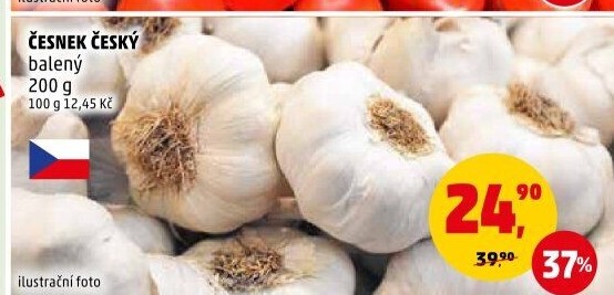 Česnek český