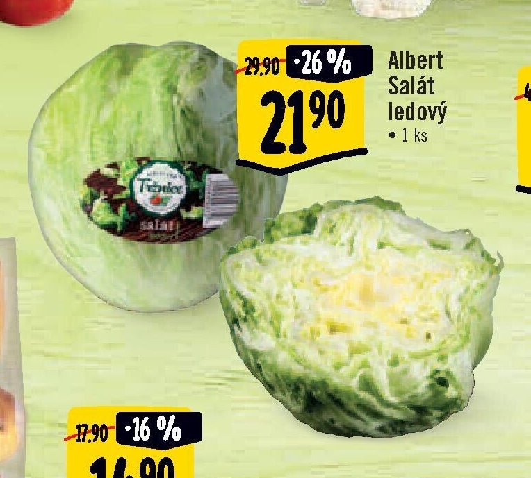 Albert Salát ledový 1 ks