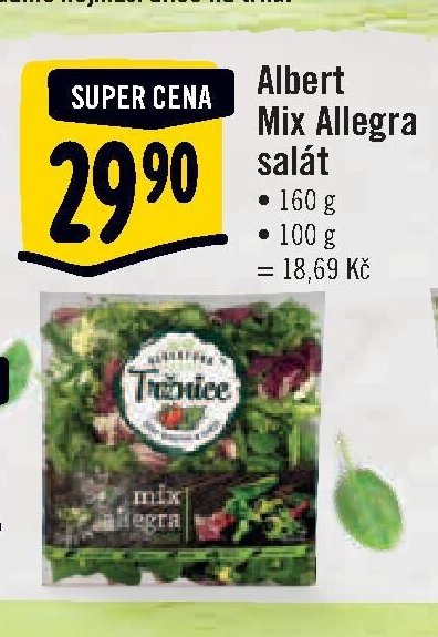 Albert Mix Allegra salát 160 g
