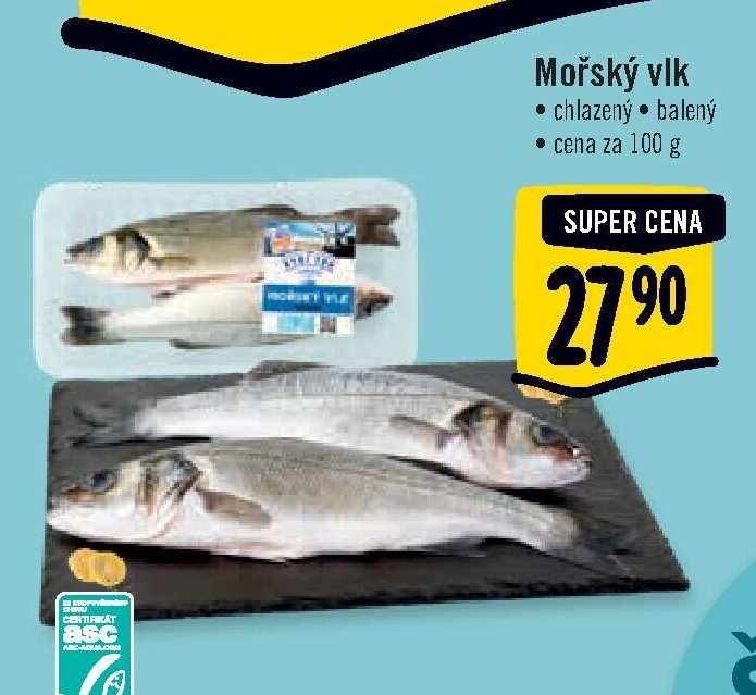 Mořský vlk