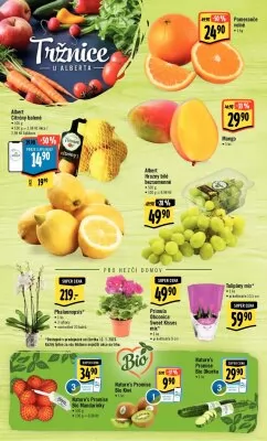 akční leták Albert 11.1.2023-17.1.2023