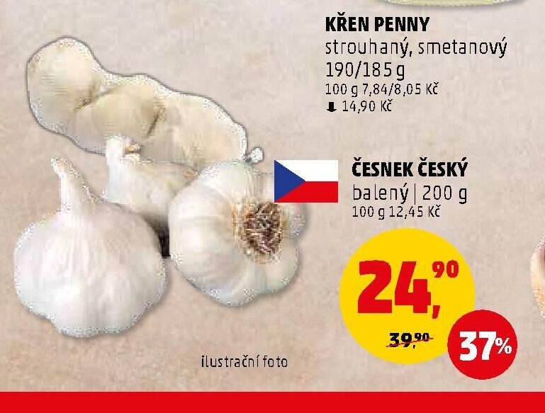 Česnek český