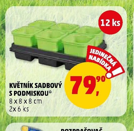 Květiník sadbový s podmiskou