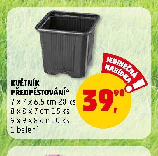 Květiník předpěstování