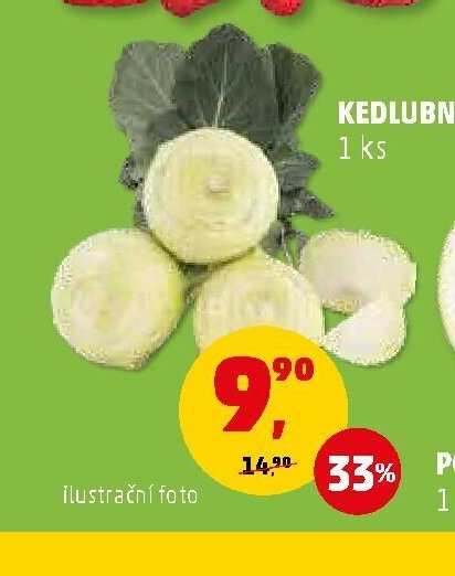 KEDLUBA