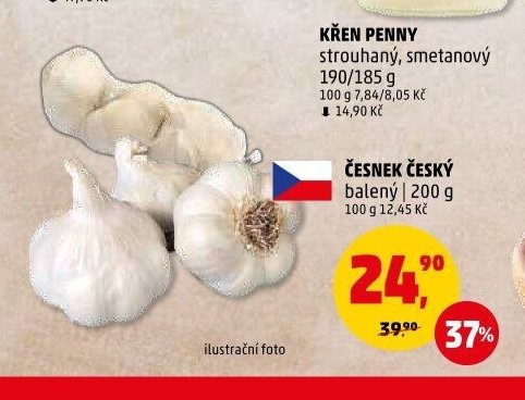 Česnek český