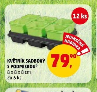 KVĚTNÍK SADBOVÝ S PODMISKOU