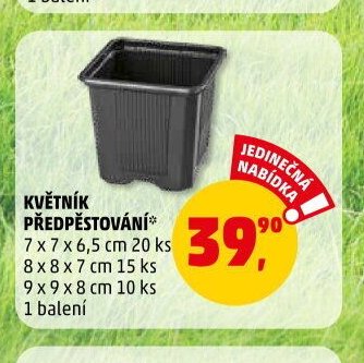 KVĚTNÍK PŘEDPĚSTOVÁNÍ