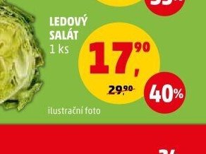 Ledový salát