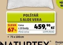Polštář s Aloe Vera
