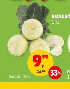 KEDLUBA