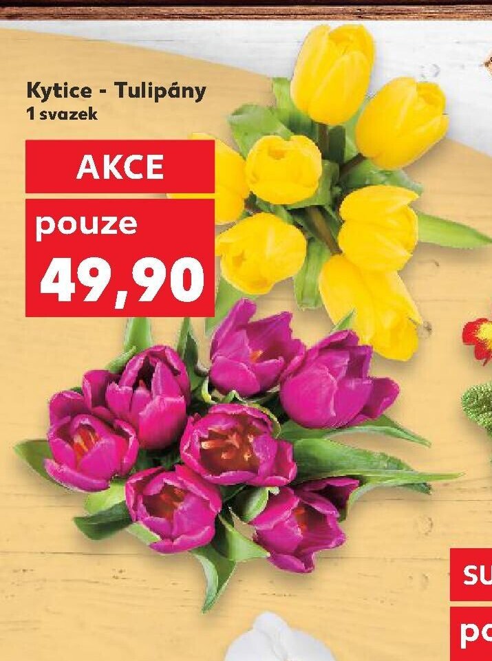 Kytice - Tulipány
